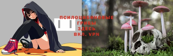 ешки Нефтегорск