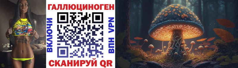 дарнет шоп  Собинка  дарк нет какой сайт  Псилоцибиновые грибы прущие грибы 