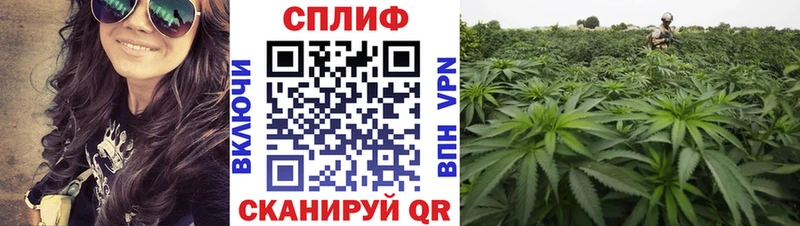Бошки Шишки LSD WEED Собинка